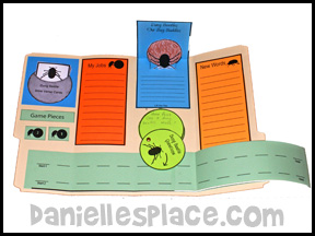 Bug Buddies Studies - Dung Beetles