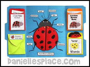 Bug Buddies Studies - Inchworm