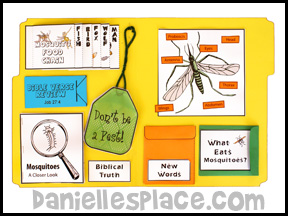 Bug Buddies Studies - Mosquito