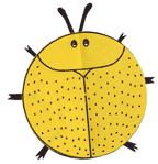 Bug Club - Golden Tortoise Beetle