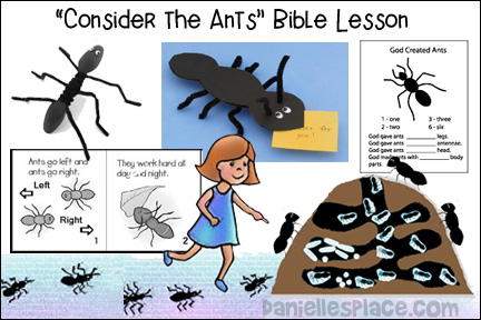 Consider the Ants