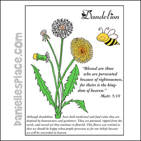 The Beatitudes - Flowers - Blessed are the Persecuted