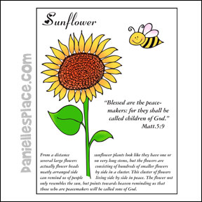 The Beatitudes - Flowers - Blessed are the Peacemakers