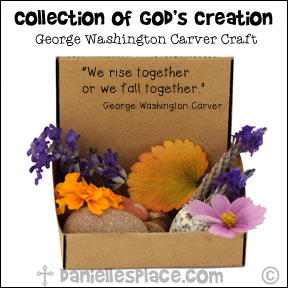 Collection of God's Creations