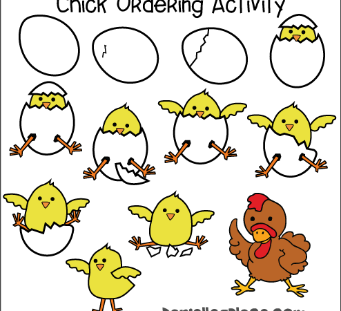 Chick Ordering Activity Sheets