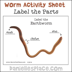 Label the Earthworm Activity Sheet