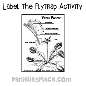Venus Flytrap Labeling Activity