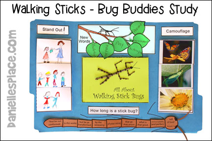 Walking Stick Bug Bug Buddies Study