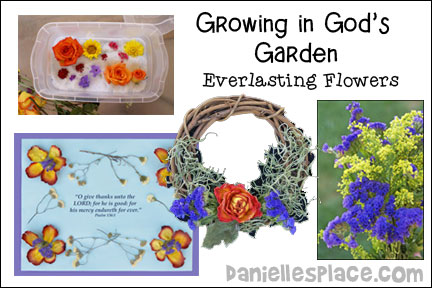 Growing in God's Garden - Everlasting Flowers for Sunday School and Children's Ministry, Including Bible Crafts, Games, songs, and Bible Verse Review Activities, Bible Reference: Psalm 136, Make Paper Towel Tube Pots and Plant Everlasting Flowers, Collect and Dry Flowers, Make Potpourri from Dried Flowers, Make a Flower Picture with the Bible Verse from Dried Flowers, Decorate a Wreath with Dried Flowers, Play a Memory Game, Play a Water Relay Game, Have a Seed Race, Everlasting Race, Sing God’s Love is Everlasting by Tom Tomaszek,
daniellesplace.com, daniellespace.com, daniellplace.com, daniellsplace.com, danielsplace,com, danielspace.com, danielplace.com, danilesplace.com, danielplace.com
