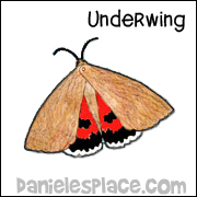 Underwing Craft