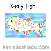 x-ray fish